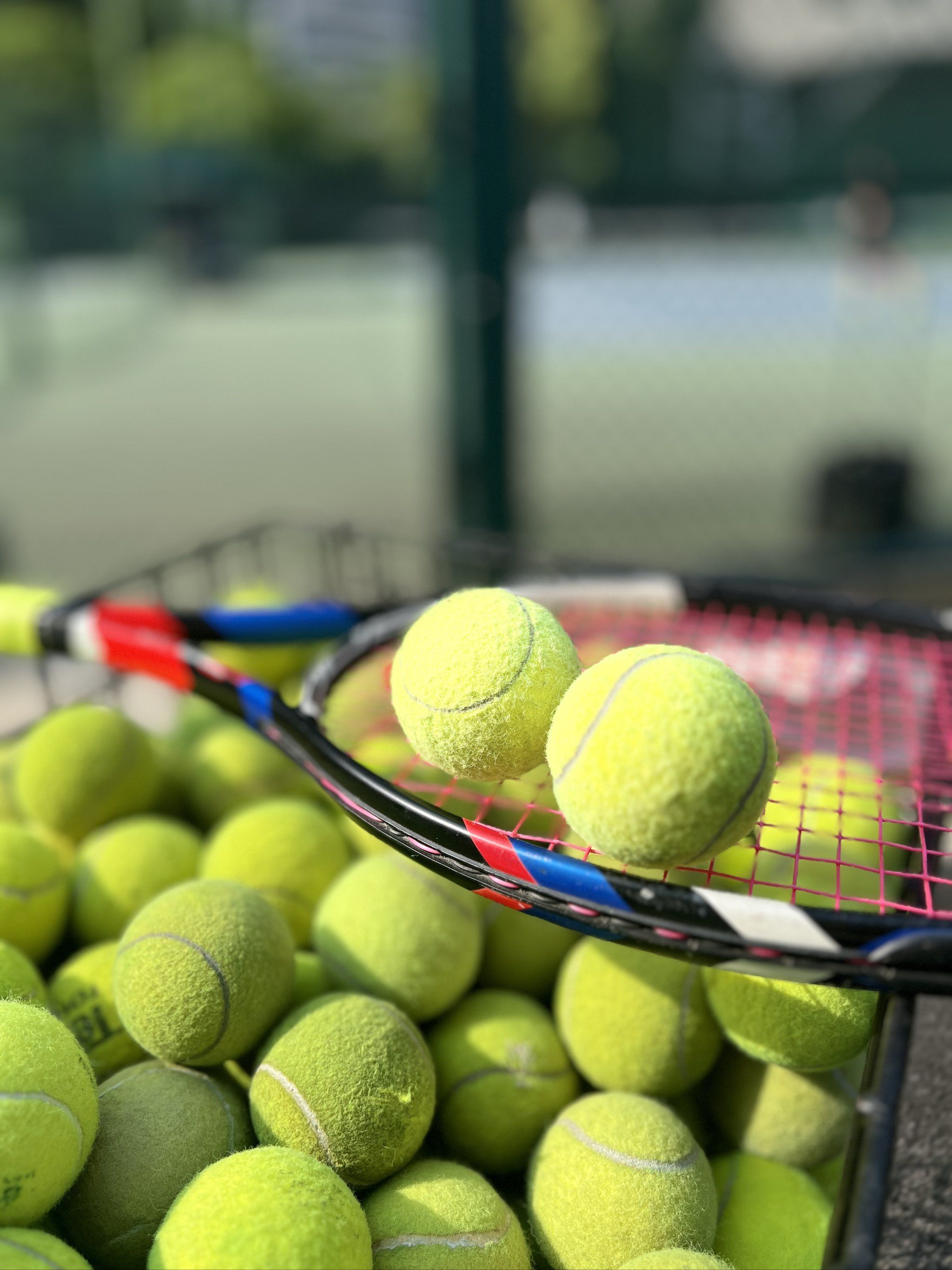 美洲杯首战状态不俗！山西队新外援个人能力全面？