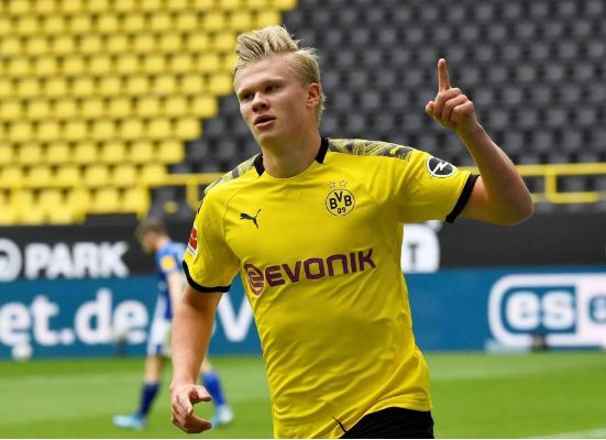 情线性推进 情线性推进